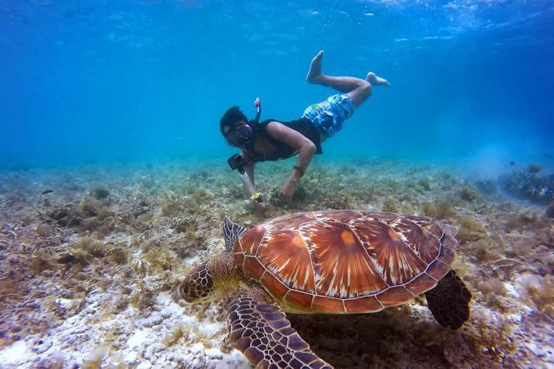 Une femme nage en snorkeling à coté d'une tortue de mer, à Sal