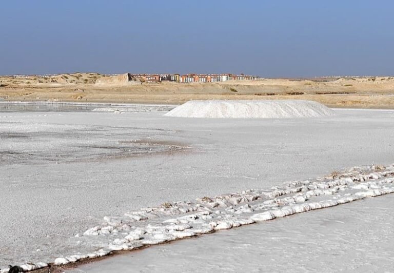 les salines à sal ou l'on voit du sel exposé sur le sol