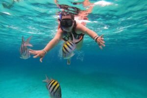Une femme nage en snorkeling et contemple un banc de poisson, à sal