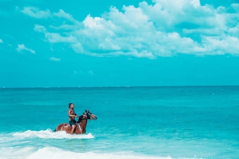 Un cavalier avance dans l'eau sur un cheval, à Sal