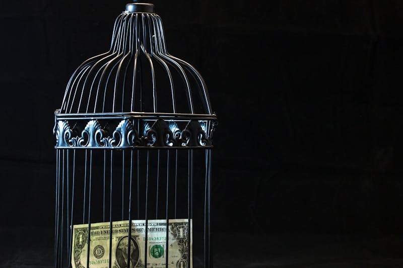 les-pieges-a-sal Une cage à oiseau renferme un billet, pour dénoncer les pièges à touristes sur l'île.